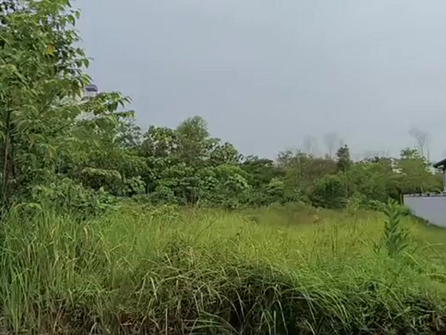 Video Image 1