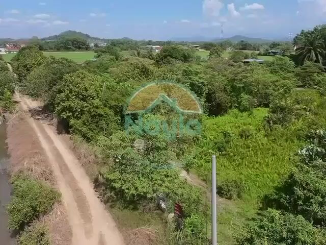 Video Image 1