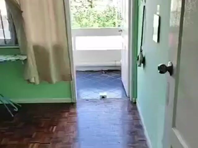 Video Image 1
