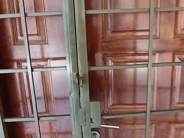 Video Image 1