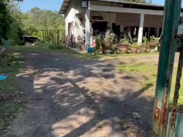 Video Image 1