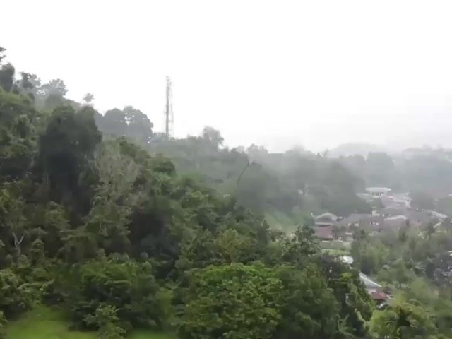 Video Image 1