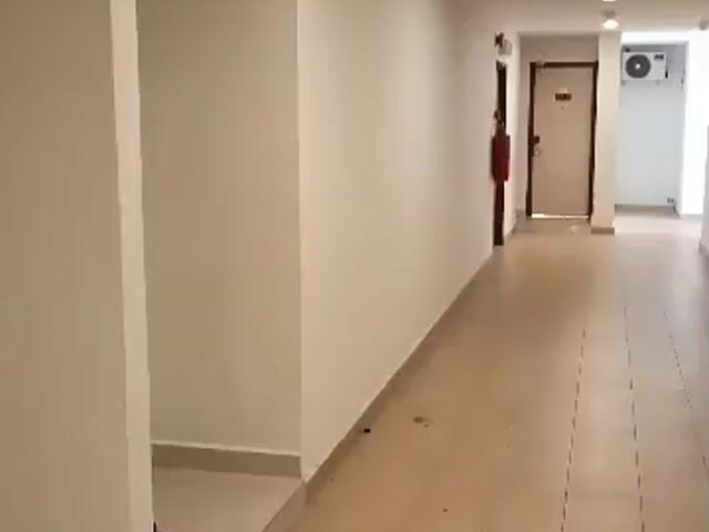 Video Image 1