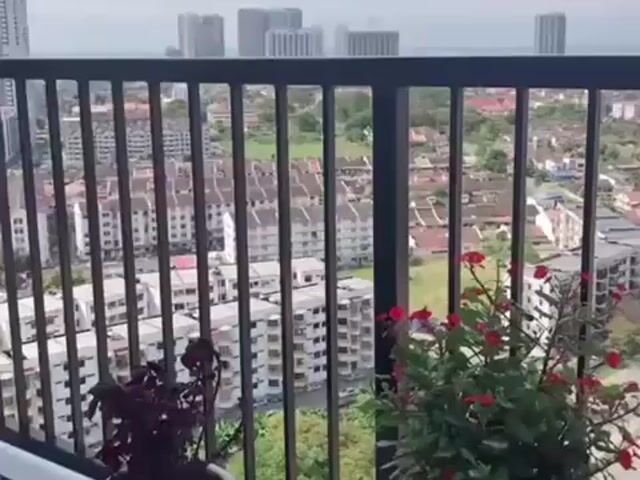 Video Image 1
