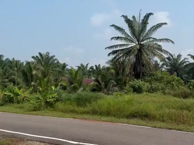 Video Image 1
