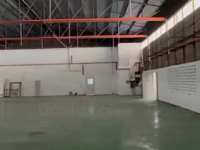 Video Image 1