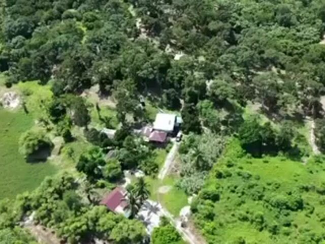 Video Image 1
