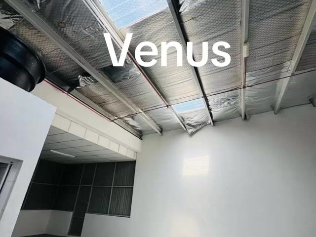 Video Image 1