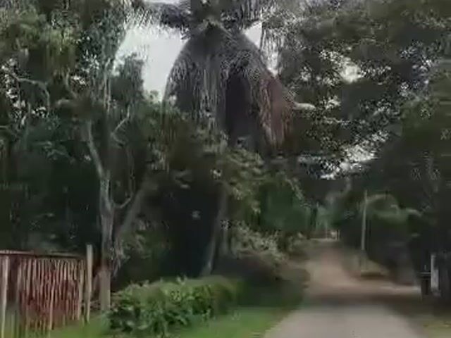 Video Image 1
