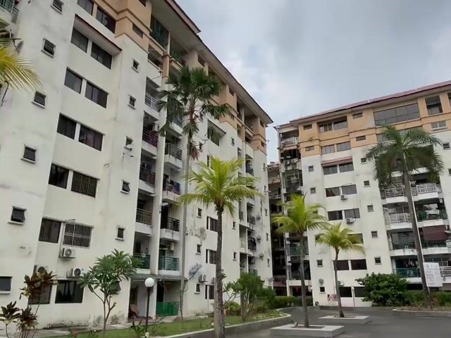 Video Image 1
