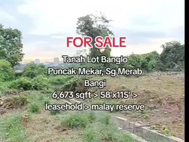 Video Image 1