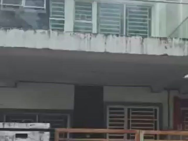 Video Image 1
