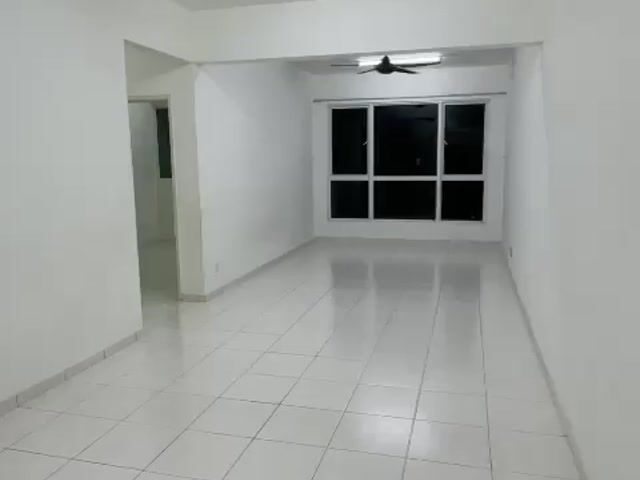 Video Image 1