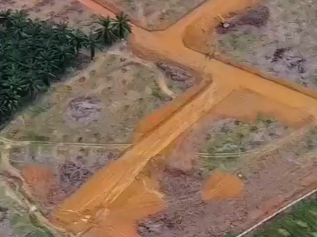 Video Image 1