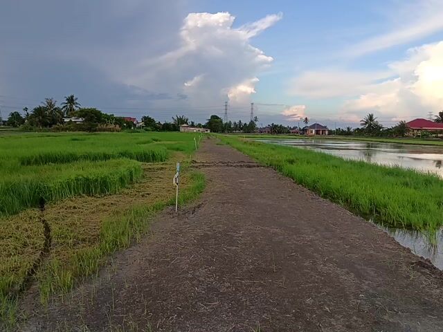 Video Image 1