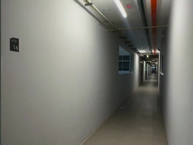 Video Image 1