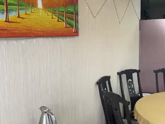 Video Image 1