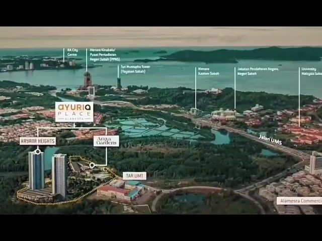Video Image 1