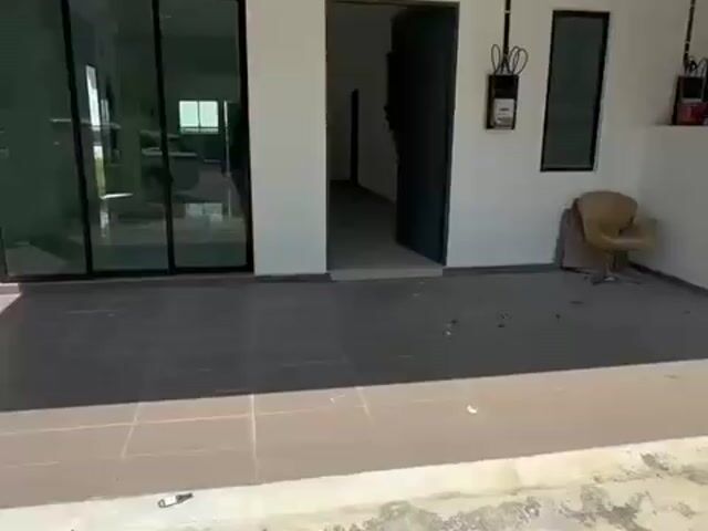Video Image 1