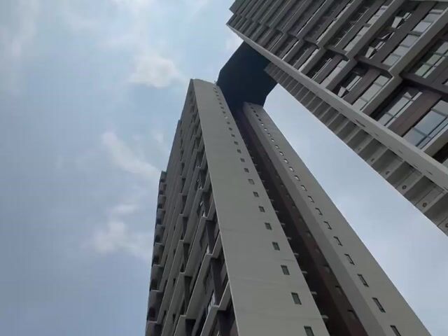 Video Image 1