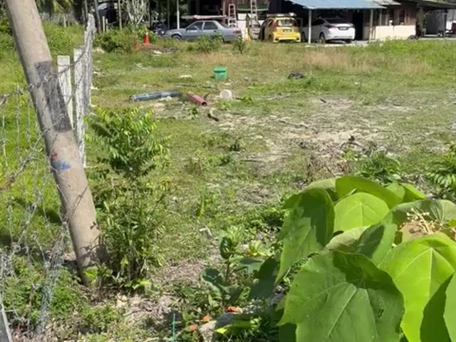 Video Image 1