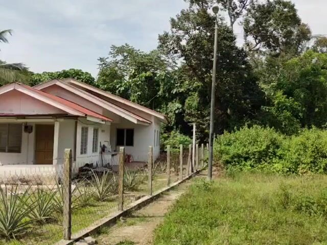 Video Image 1