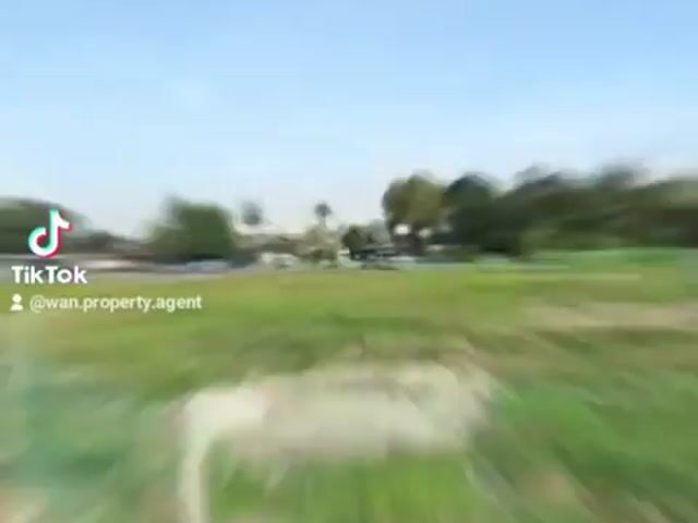 Video Image 1