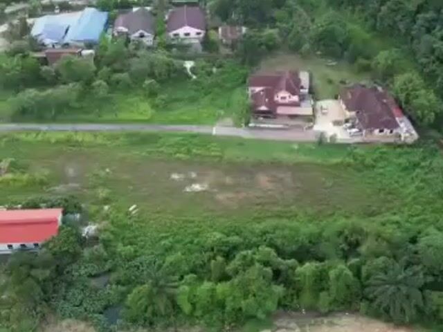 Video Image 1