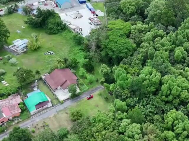 Video Image 1