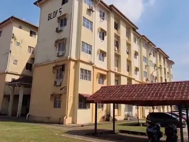 Video Image 1