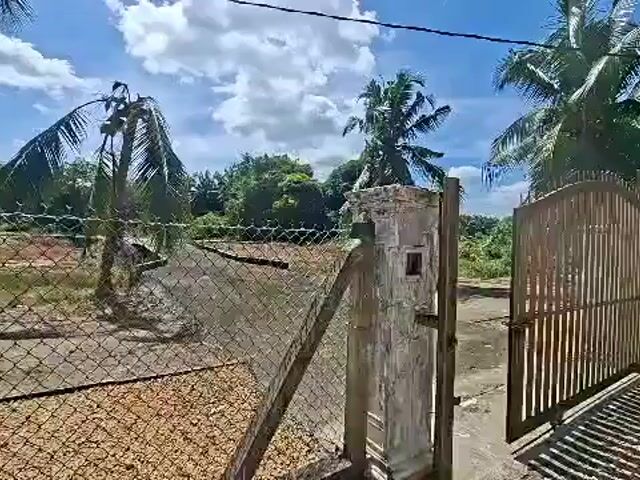 Video Image 1