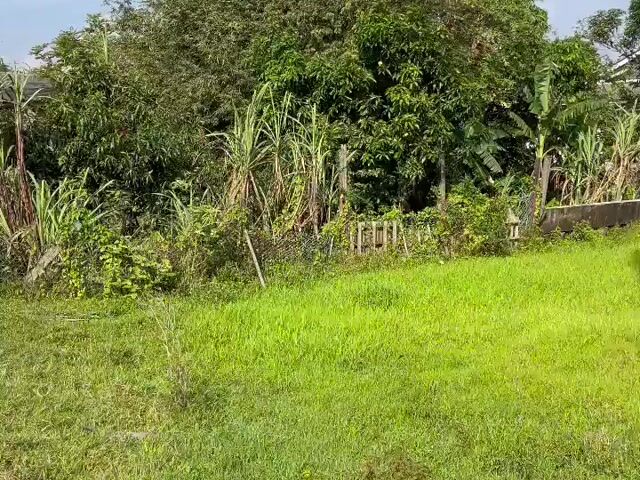 Video Image 1