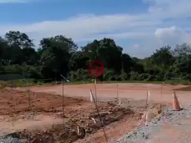 Video Image 1