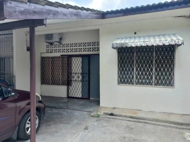 Video Image 1
