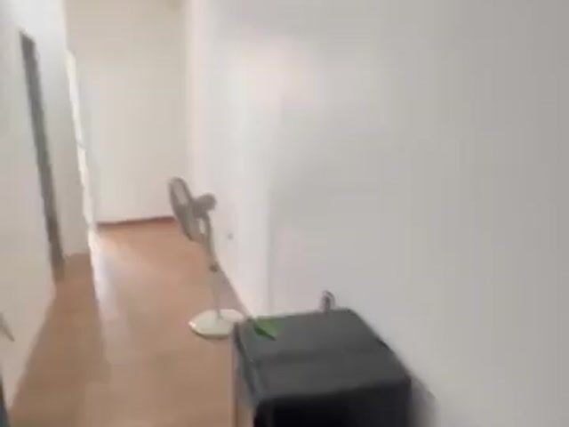 Video Image 1