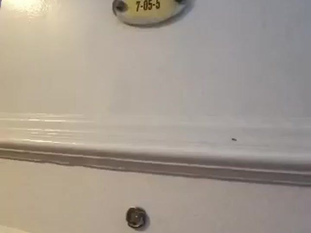 Video Image 1