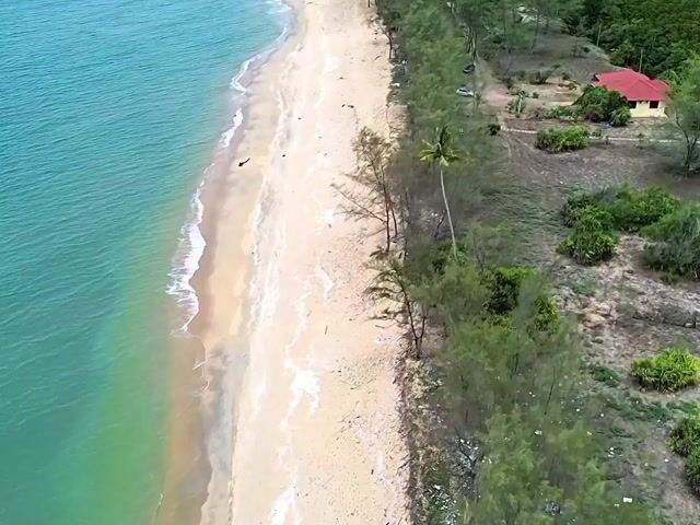 Video Image 1