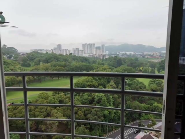 Video Image 1
