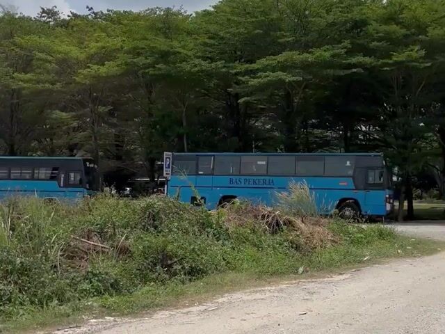 Video Image 1