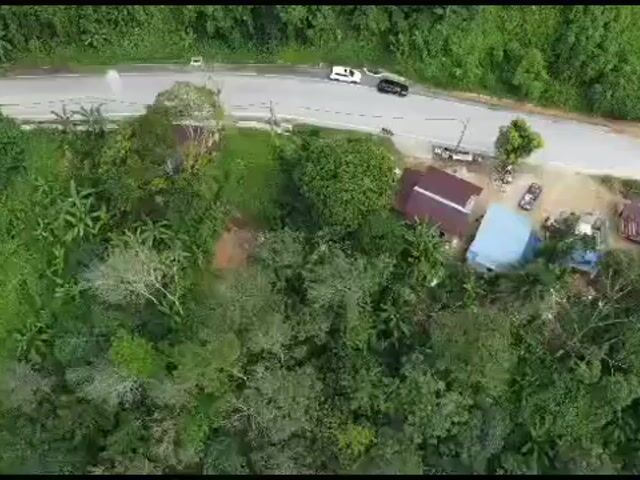 Video Image 1