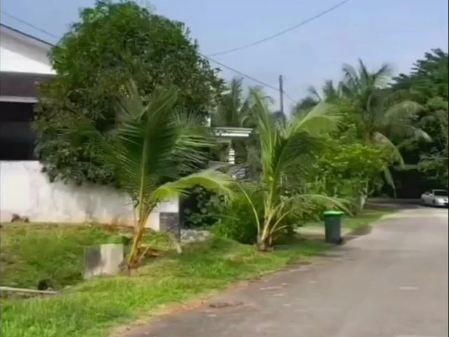 Video Image 1