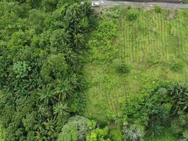 Video Image 1