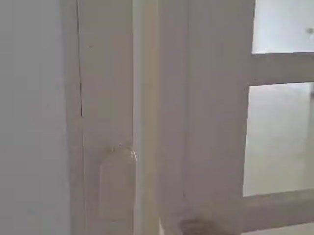 Video Image 1