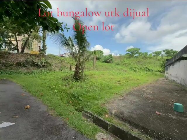 Video Image 1