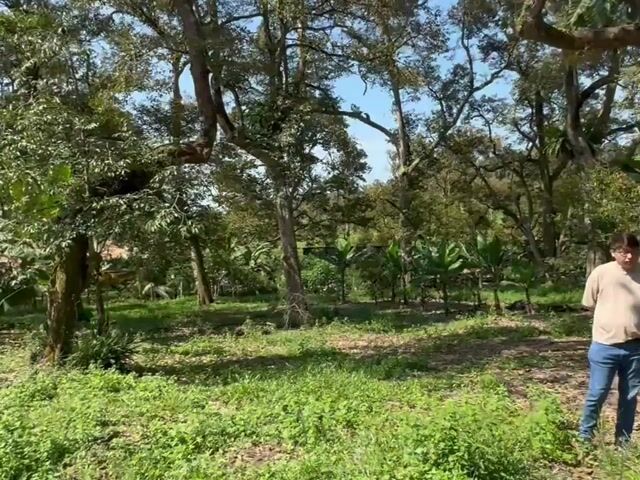 Video Image 1
