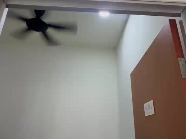 Video Image 1