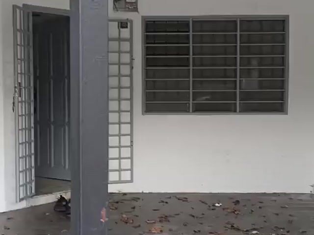 Video Image 1