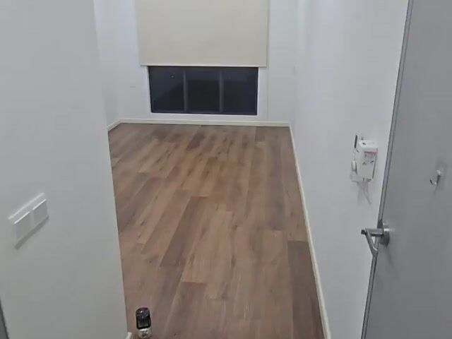 Video Image 1