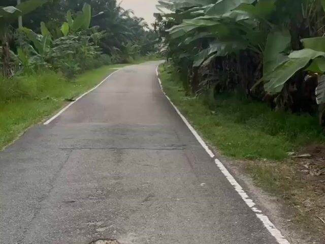 Video Image 1