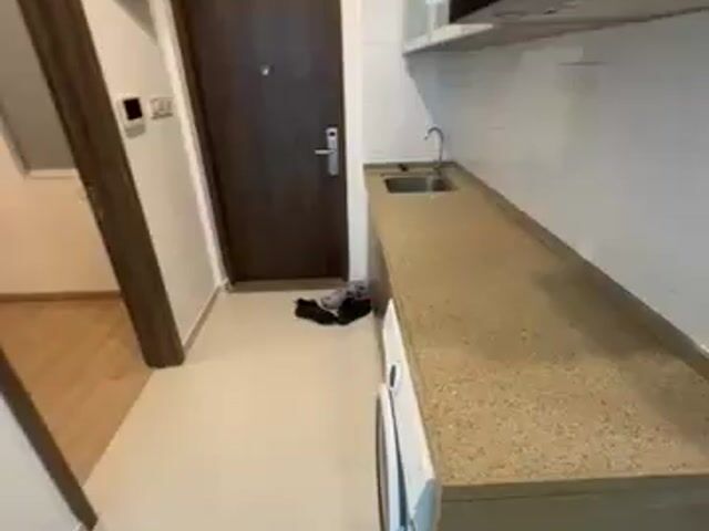 Video Image 1